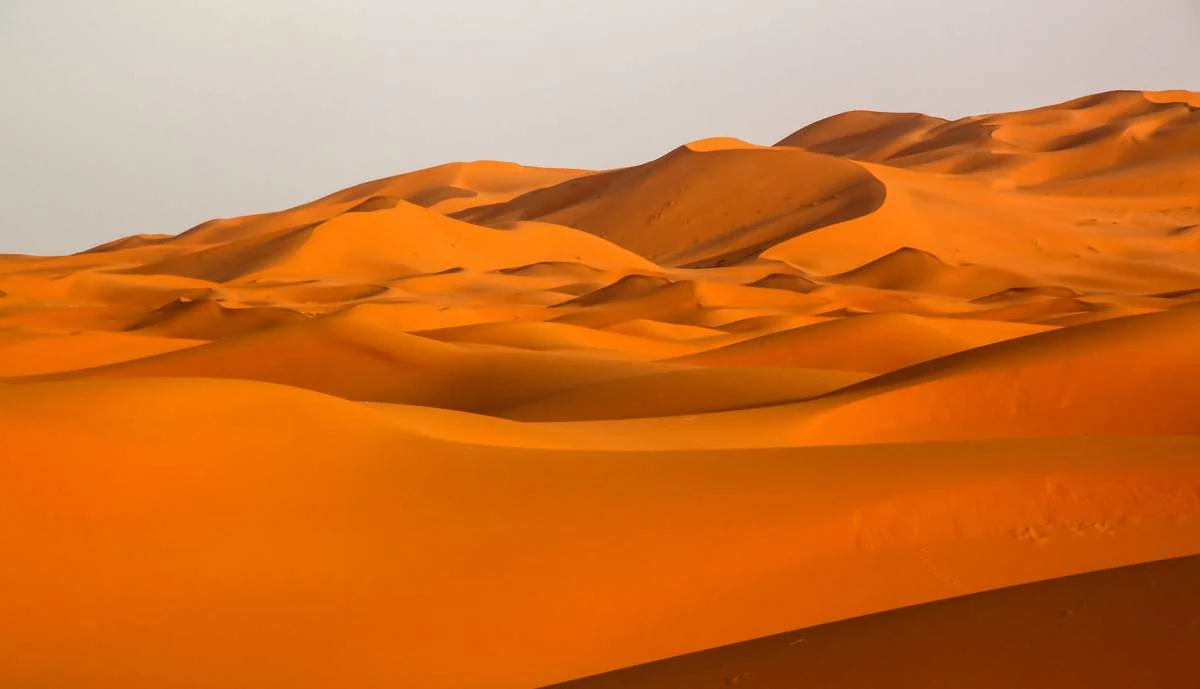 Orange dunes of the Empty Quarter near Liwa